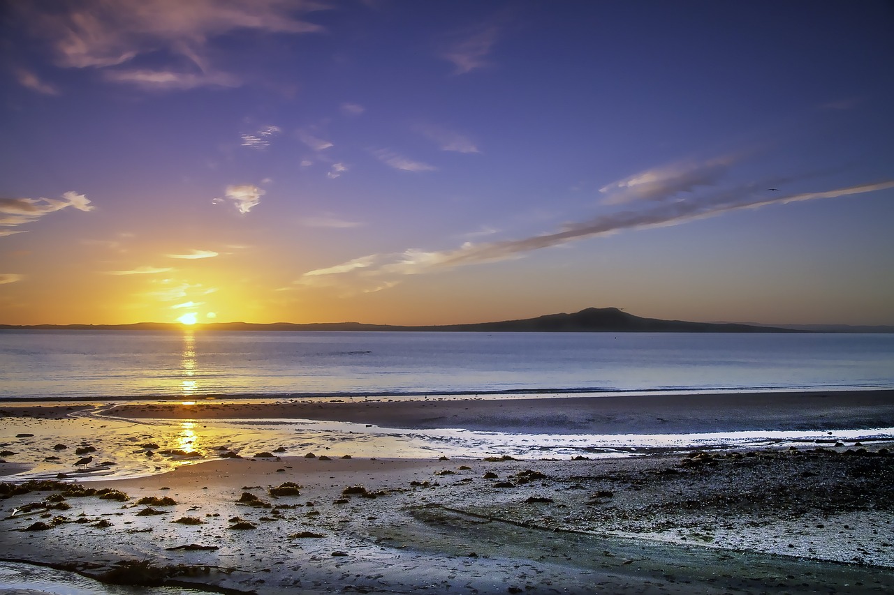 Esplorazione Eclettica di Auckland e Isola di Waiheke